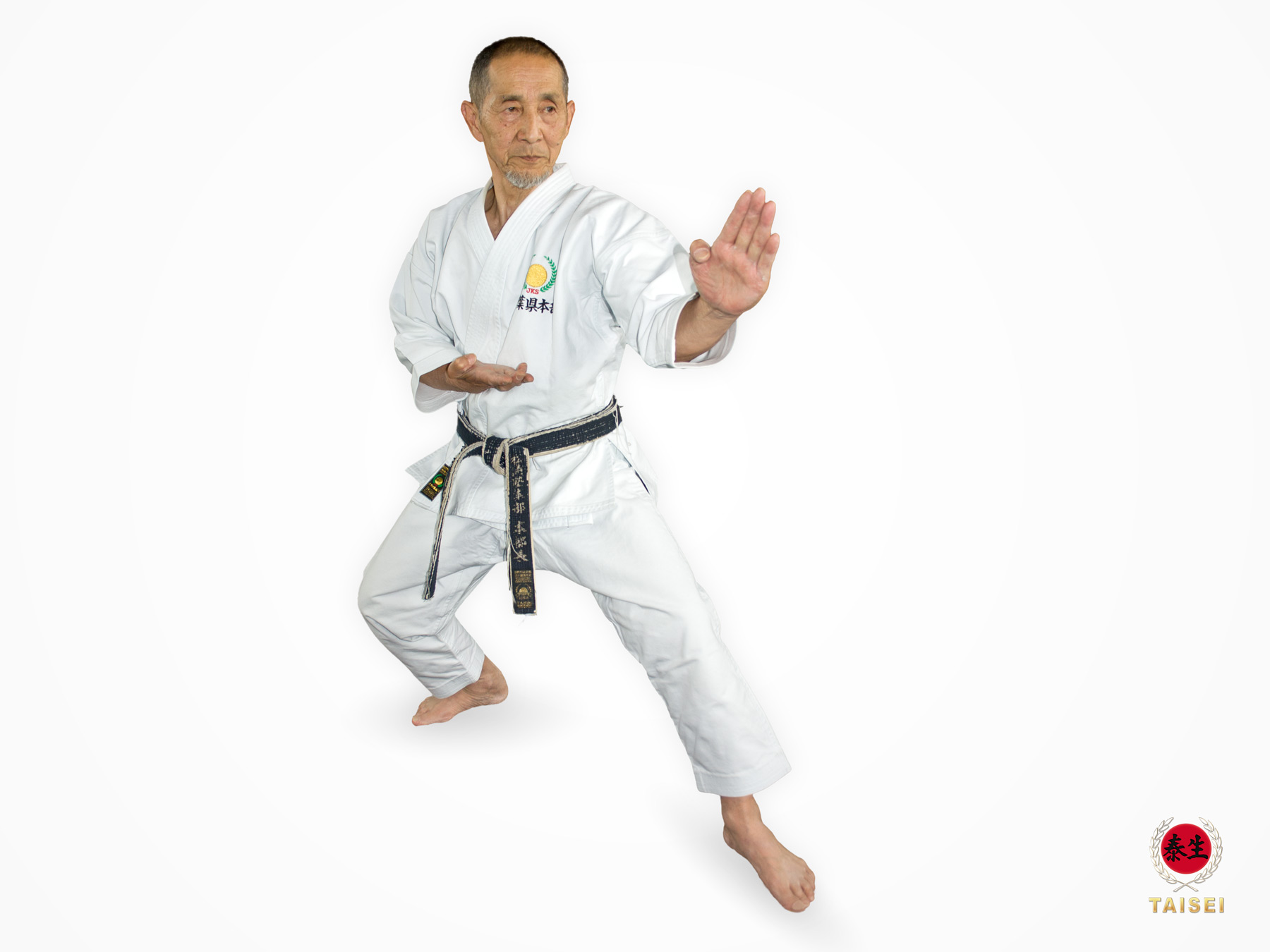 TAISEI Karate Gi original japanisch maßgeschneiderten Karate Anzug